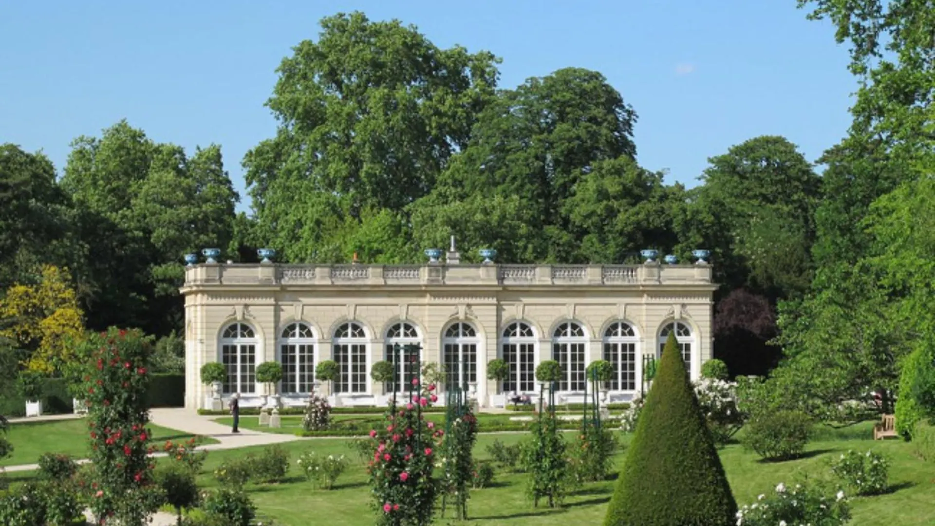Veeve - Aesthetic Artistry * Paris